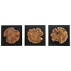 Uttermost 04336 Kolini - Wall Decor (Set of 3)-25.6 Inches Tall and 25.6 Inches Wide