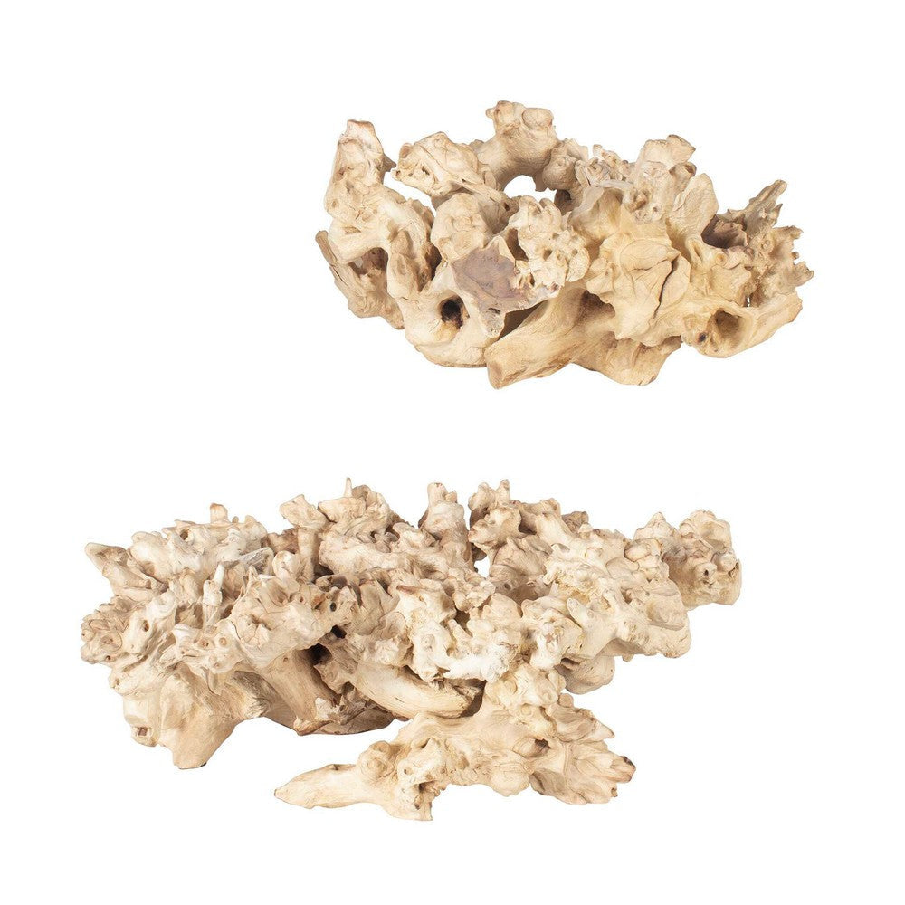 Uttermost Elemental Root Outdoor Sculptures Set/2 UT-17141