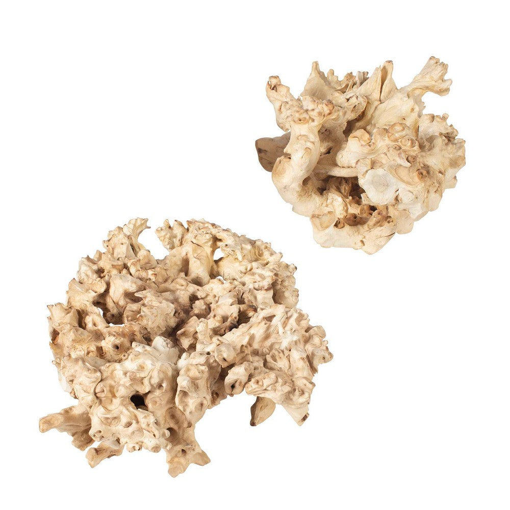 Uttermost Elemental Root Outdoor Sculptures Set/2 UT-17141