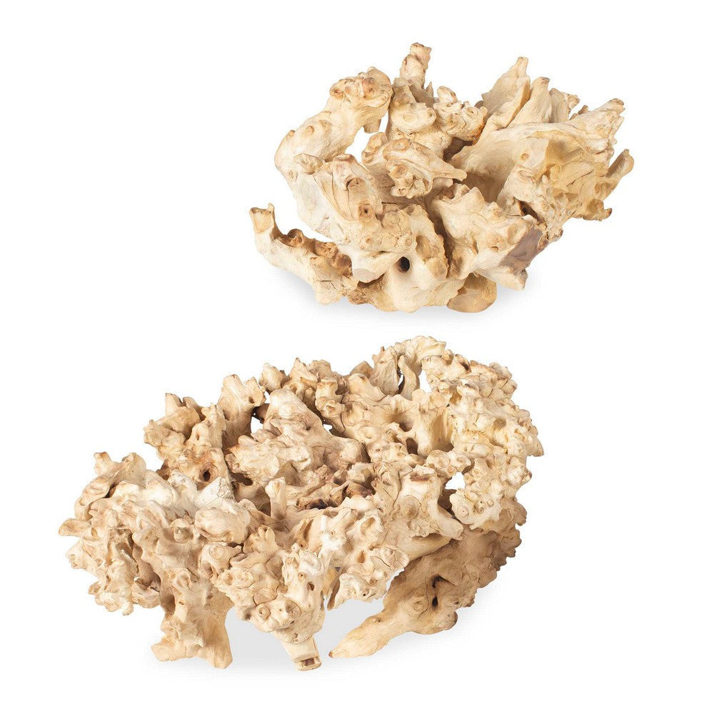 Uttermost Elemental Root Outdoor Sculptures Set/2 UT-17141