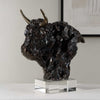 Uttermost Bison Bust Bronze Sculpture UT-18148