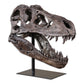 Uttermost Tyrannosaurus Sculpture By Casagear Home