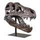 Tyrannosaurus - 19.75 inch Sculpture - 19.25 inches wide by 11.38 inches deep