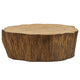 Uttermost Woods Edge Sierra Coffee Table