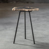 Uttermost Mircea Petrified Wood Accent Table By Casagear Home UT-25461