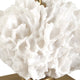Uttermost Caronia Coral Buffet Lamp UT-30608