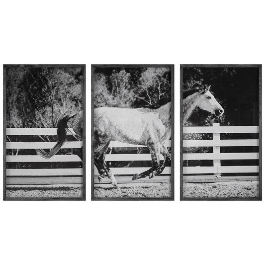 Uttermost 32279 Galloping Forward - Framed Print (Set of 3)-35 Inches Tall and 21 Inches Wide