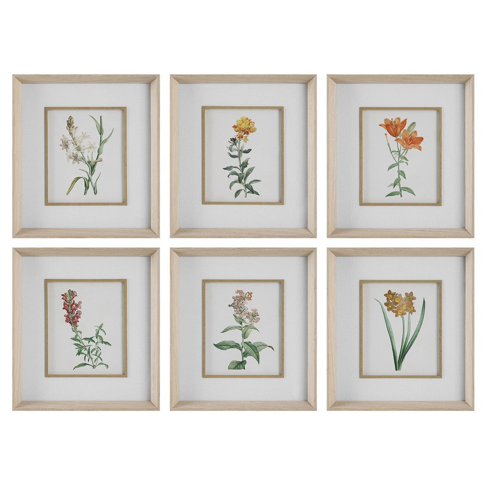 Uttermost Classic Botanicals Framed Prints Set/6 By Casagear Home