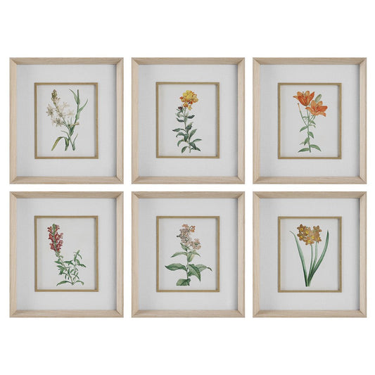 Uttermost Classic Botanicals Framed Prints Set/6 By Casagear Home