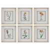 Uttermost Classic Botanicals Framed Prints Set/6 By Casagear Home