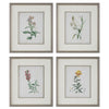 Uttermost 32285 Heirloom Blooms - Framed Print (Set of 4)-30.38 Inches Tall and 26.38 Inches Wide