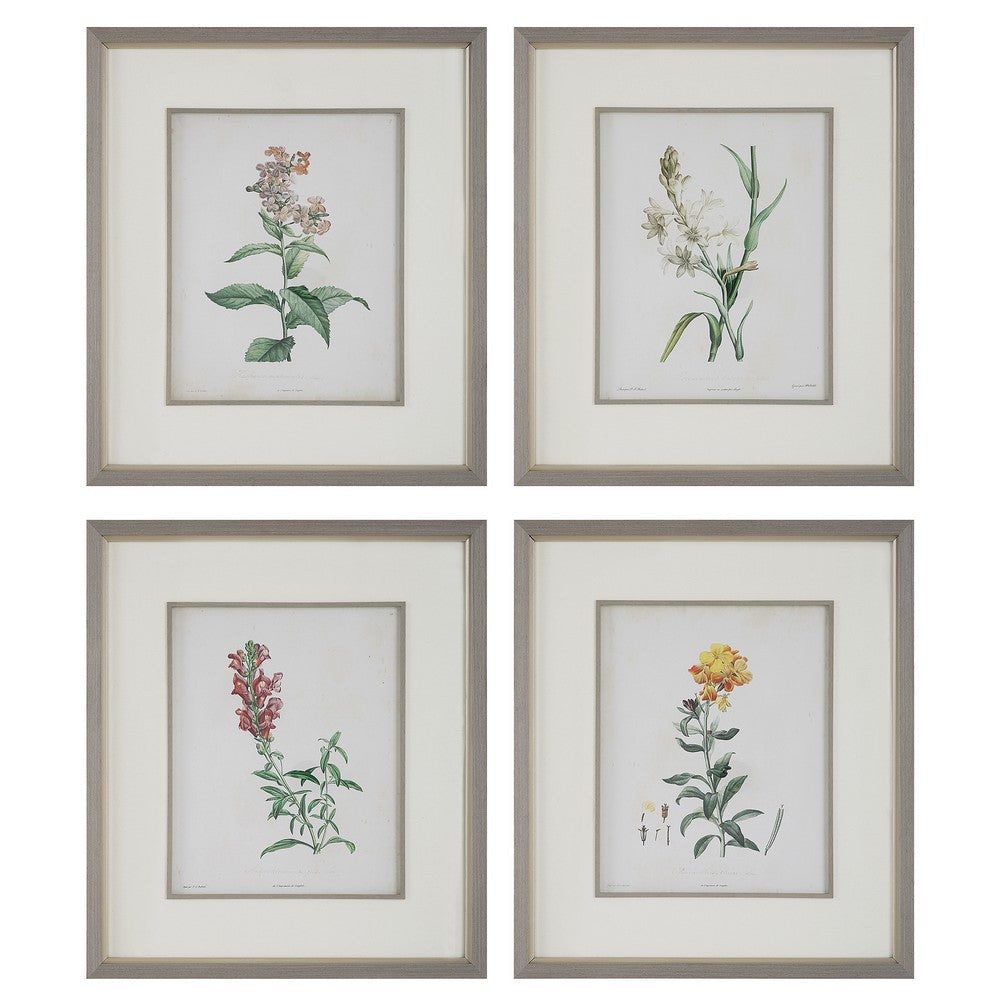 Uttermost 32285 Heirloom Blooms - Framed Print (Set of 4)-30.38 Inches Tall and 26.38 Inches Wide