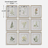 Uttermost Botanical Flowers Framed Prints Set/9 UT-32339