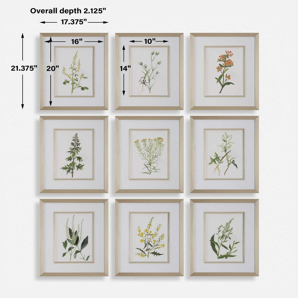 Uttermost Botanical Flowers Framed Prints Set/9 UT-32339