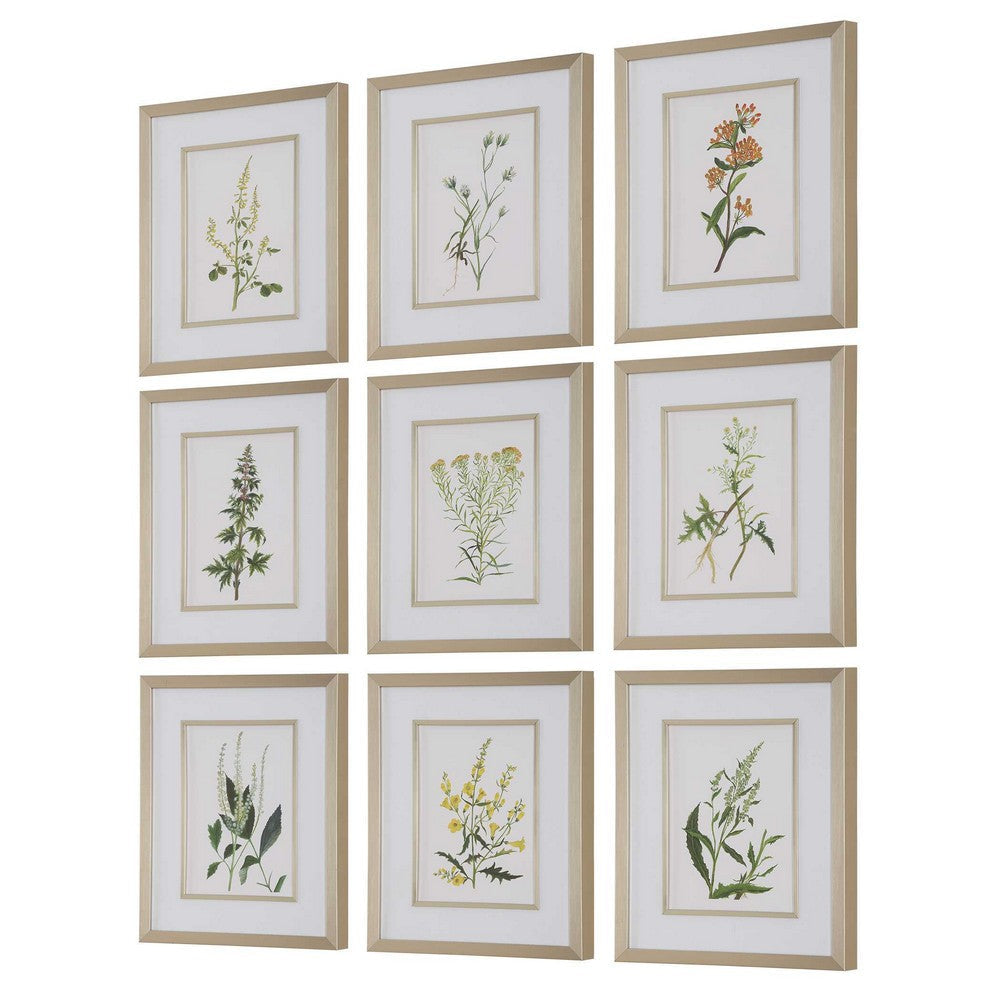 Uttermost Botanical Flowers Framed Prints Set/9 UT-32339