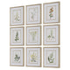 Uttermost Botanical Flowers Framed Prints Set/9 UT-32339