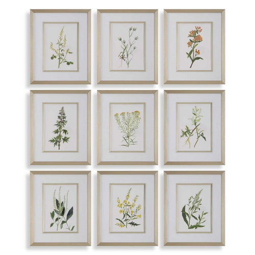 Uttermost Botanical Flowers Framed Prints Set/9