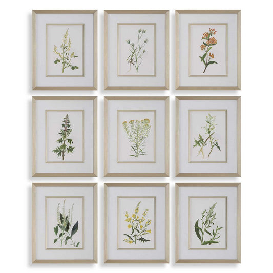 Uttermost Botanical Flowers Framed Prints Set/9