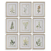Uttermost Botanical Flowers Framed Prints Set/9