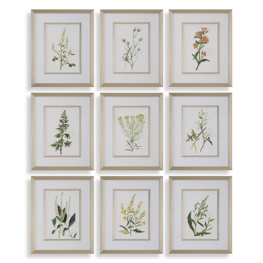 Uttermost Botanical Flowers Framed Prints Set/9