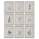 Uttermost Botanical Flowers Framed Prints Set/9
