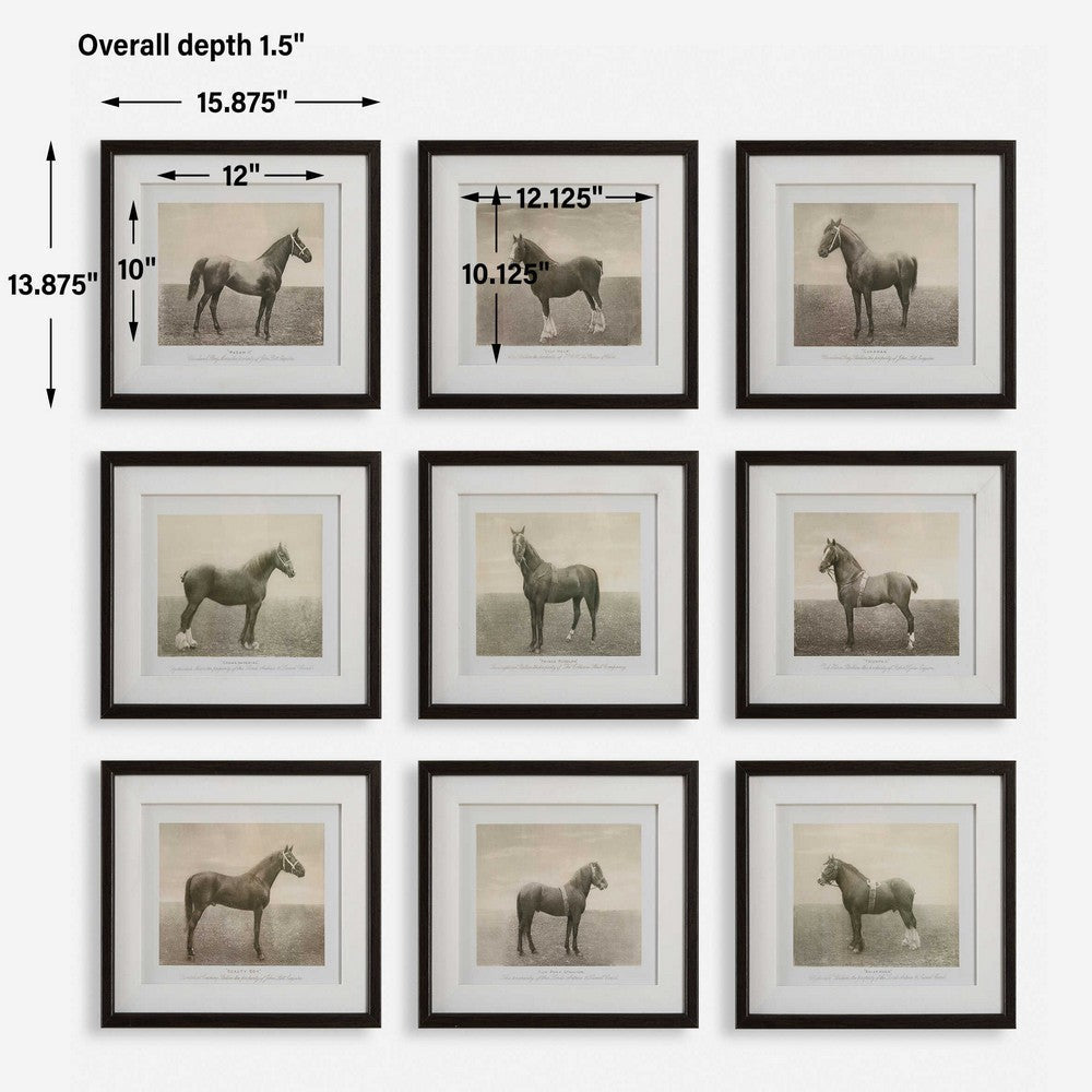 Uttermost Equine Dynasty Framed Prints Set/9 UT-32343