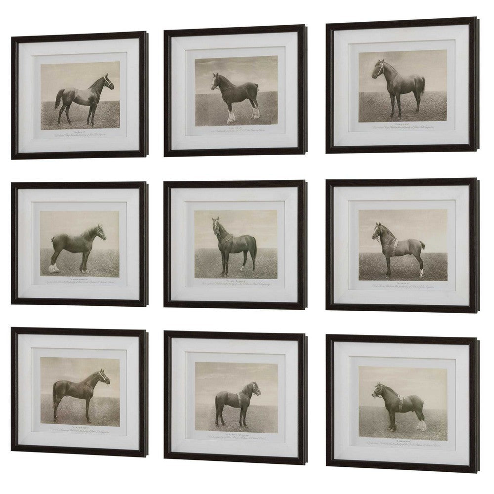 Uttermost Equine Dynasty Framed Prints Set/9 UT-32343