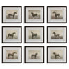 Uttermost Equine Dynasty Framed Prints Set/9 UT-32343