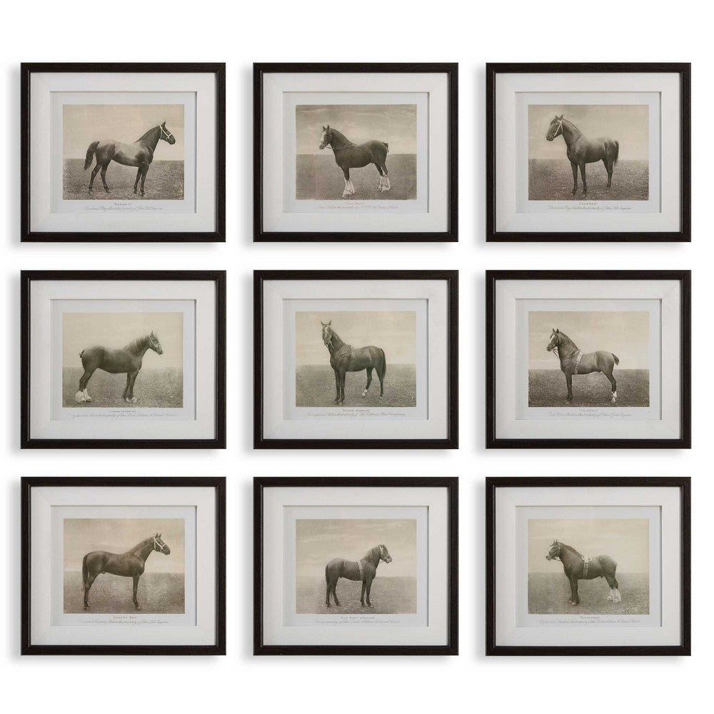 Uttermost Equine Dynasty Framed Prints Set/9 UT-32343