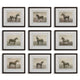 Uttermost Equine Dynasty Framed Prints Set/9 UT-32343