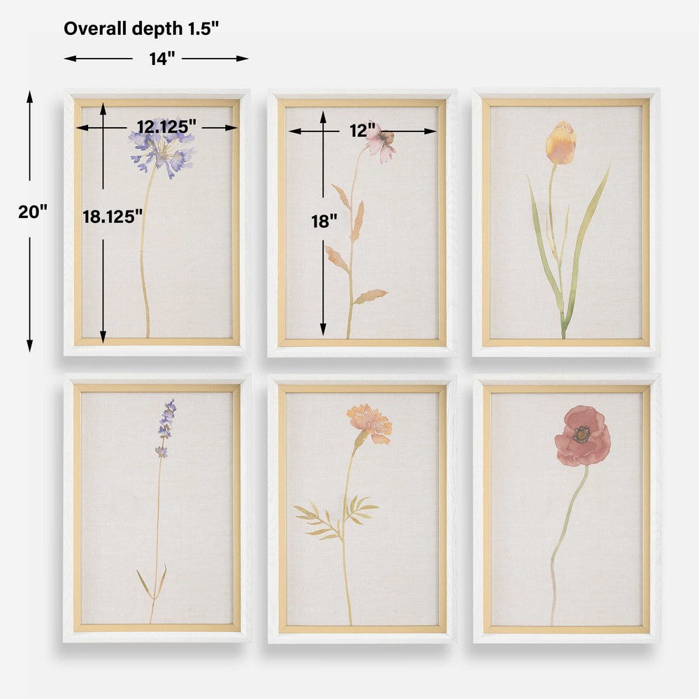 Uttermost Wild Flourish Framed Floral Prints Set/6 UT-32384
