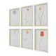 Uttermost Wild Flourish Framed Floral Prints Set/6 UT-32384