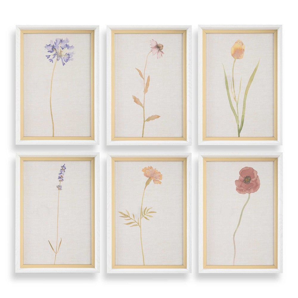 Uttermost Wild Flourish Framed Floral Prints Set/6 UT-32384