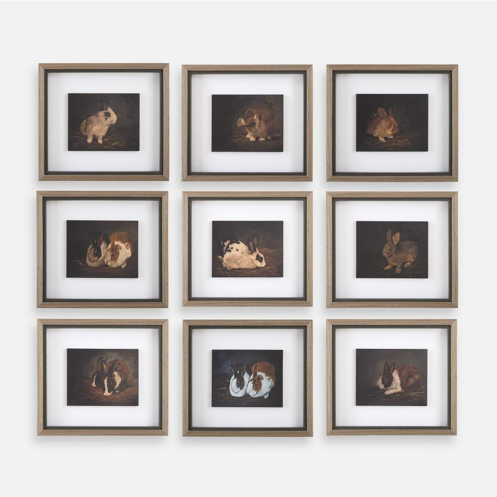 Uttermost 32386 Resting Bunny - Framed Print (Set of9)-16 Inches Tall and 18 Inches Wide UT-32386