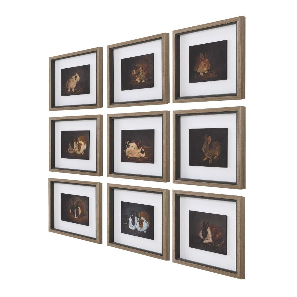 Uttermost 32386 Resting Bunny - Framed Print (Set of9)-16 Inches Tall and 18 Inches Wide UT-32386
