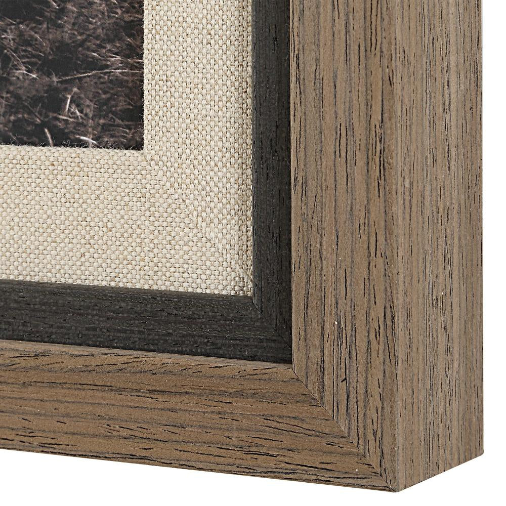 Uttermost 32391 King Of The Hill - Framed Bovine Print-27.63 Inches Tall and 39.63 Inches Wide UT-32391