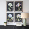 Uttermost Florals On Black Framed Prints Set/4 UT-32426