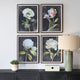 Uttermost Florals On Black Framed Prints Set/4 UT-32426