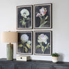 Uttermost Florals On Black Framed Prints, Set/4