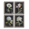 Uttermost Florals On Black Framed Prints, Set/4