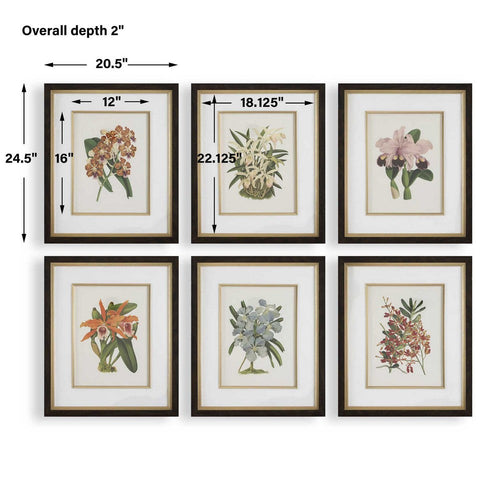 Uttermost Orchid Botanical Framed Prints Set/6