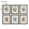 Uttermost Orchid Botanical Framed Prints Set/6