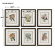 Uttermost Orchid Botanical Framed Prints Set/6