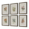 Uttermost Orchid Botanical Framed Prints Set/6 UT-32447