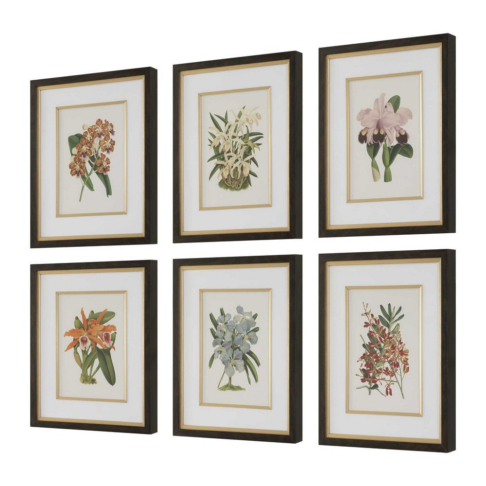 Uttermost Orchid Botanical Framed Prints Set/6 UT-32447