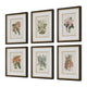 Uttermost Orchid Botanical Framed Prints Set/6 UT-32447