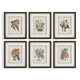 Uttermost Orchid Botanical Framed Prints Set/6 UT-32447