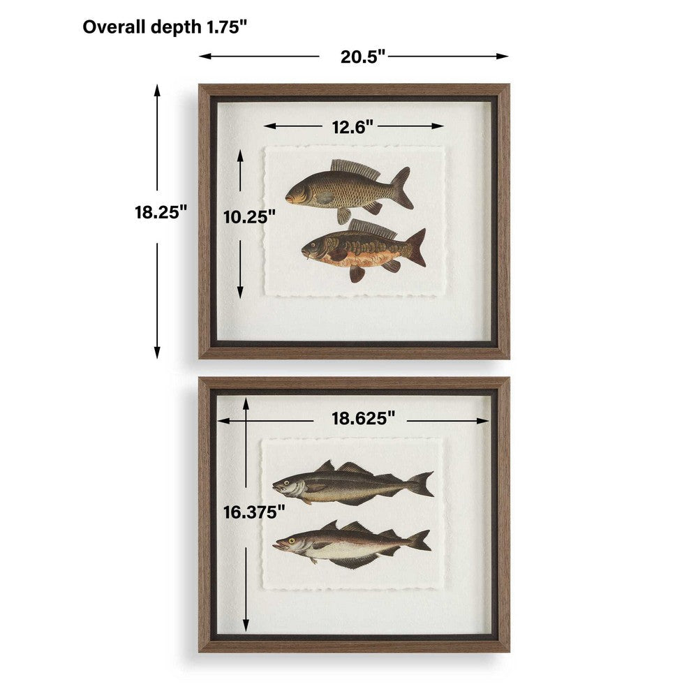Uttermost The Catch Framed Fish Prints Set/2 UT-32448