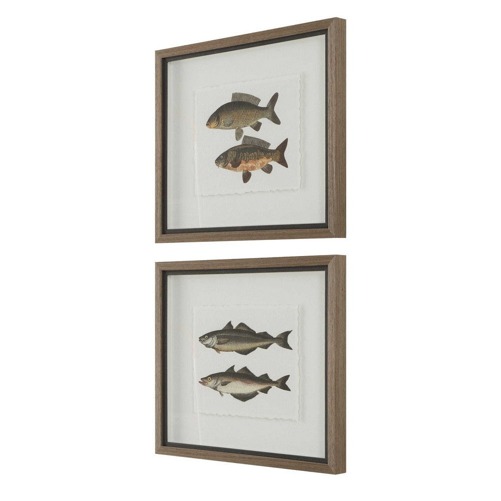 Uttermost The Catch Framed Fish Prints Set/2 UT-32448