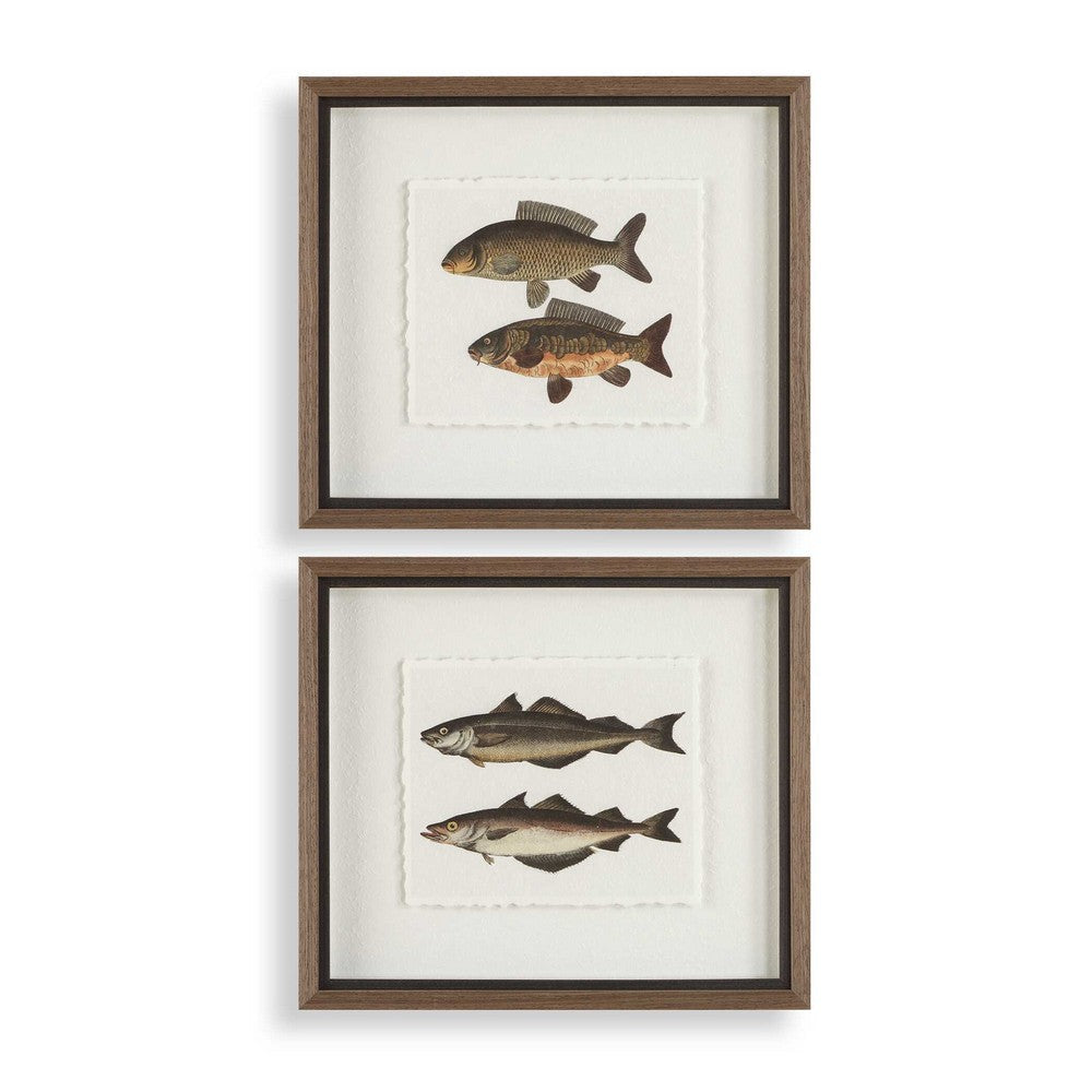Uttermost The Catch Framed Fish Prints Set/2 UT-32448